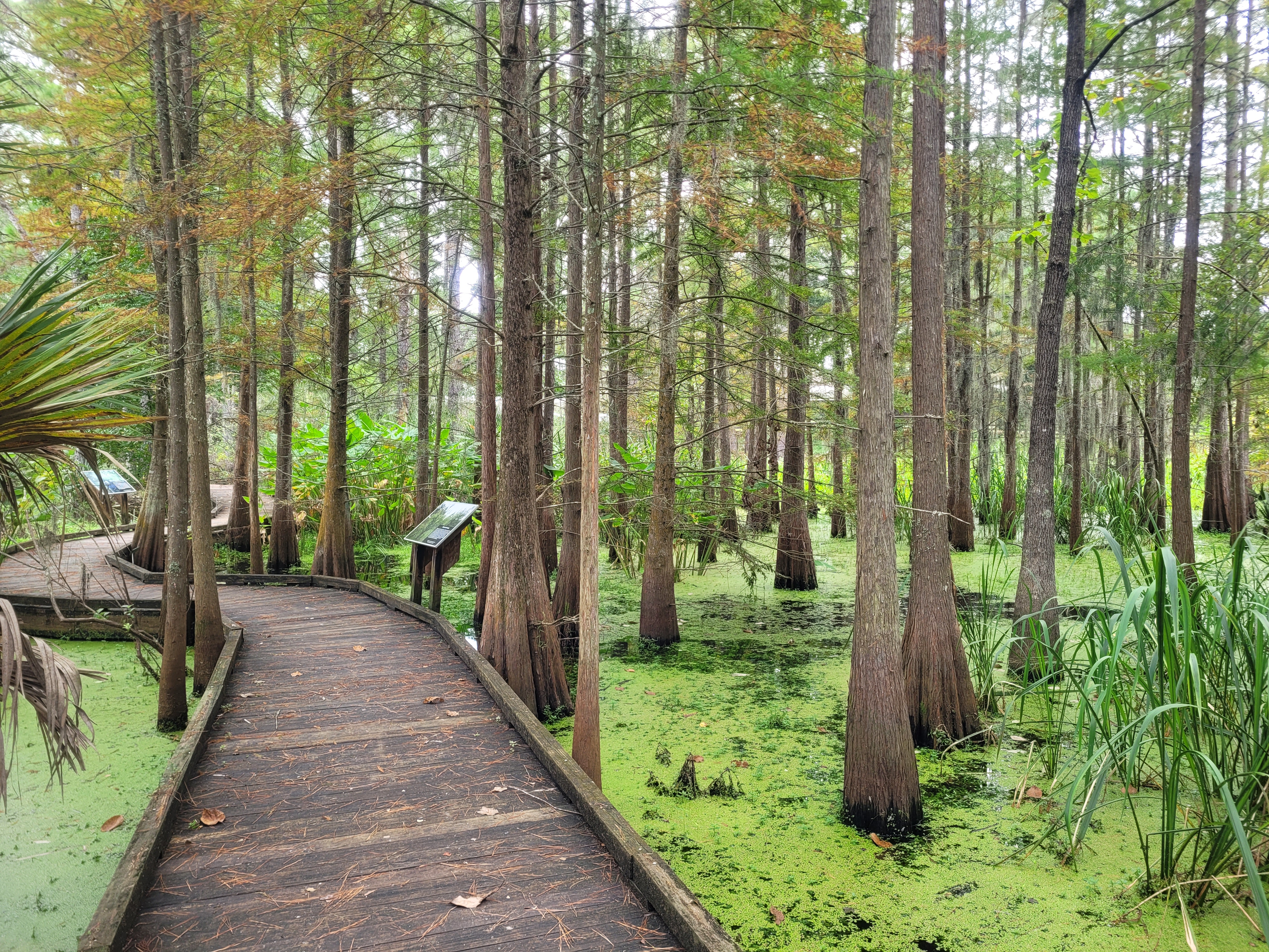 NATL's SEEP boardwalk