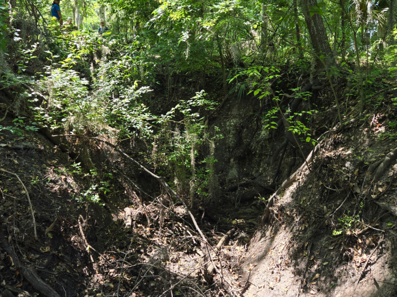a large sinkhole with a person standing at the top