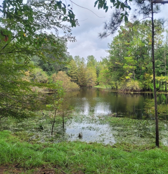 a retention pond