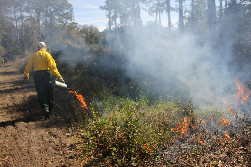 a NATL team member lighting the edge of a prescribed fire