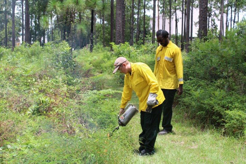 a NATL student lighting the fire line while another student supervises