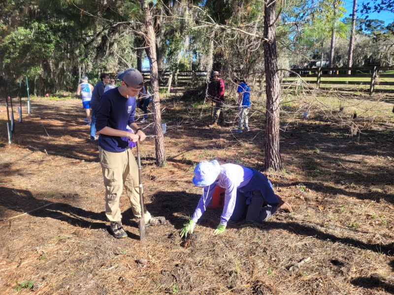 two students planting native grasses