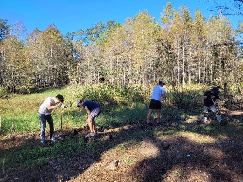students digging holes for plants