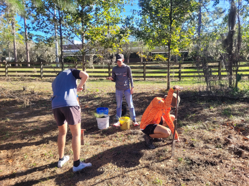 three students planting native grasses