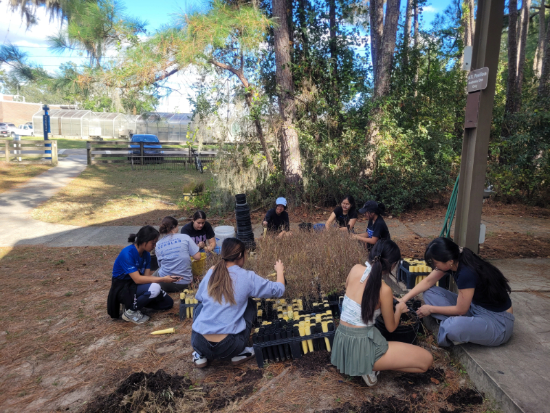 a group of students removing grass plugs from nursery pots